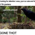 Lemme smash | Thot looking for attention: wow, your so cute and funny! Stupid 7th graders:; BE GONE THOT | image tagged in lemme smash | made w/ Imgflip meme maker