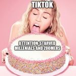 Cake PSA | TIKTOK; ATTENTION-STARVED MILLENIALS AND ZOOMERS | image tagged in cake psa | made w/ Imgflip meme maker