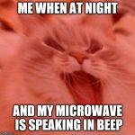 When the trees start speaking | ME WHEN AT NIGHT; AND MY MICROWAVE IS SPEAKING IN BEEP | image tagged in when the trees start speaking | made w/ Imgflip meme maker