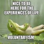 life is good | NICE TO BE HERE FOR THE EXPERIENCES OF LIFE; VOLUNTARYISM | image tagged in life is good | made w/ Imgflip meme maker