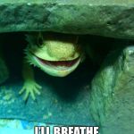 Bad Influence Bearded Dragon | IF U COME IN HERE; I’LL BREATHE FIRE ON U | image tagged in bad influence bearded dragon | made w/ Imgflip meme maker