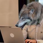 Internet Werewolf