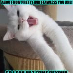 FAKE LITTLE TURD | HEY MY BEAUTIFUL BEST HUMAN EVER! I ALWAYS BRAG TO MY CATS FRIENDS ABOUT HOW PRETTY AND FLAWLESS YOU ARE! SO I CAN HAZ SOME OF YOUR MILK AND HAM SANDWICH YES? | image tagged in fake little turd | made w/ Imgflip meme maker
