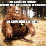 Does a Bigfoot poop in the woods? | HEY, RABBIT! DO YOU HAVE TROUBLE WITH SHIT STICKING TO YOUR FUR? NO. COME HERE A MINUTE. | image tagged in chillin' bigfoot | made w/ Imgflip meme maker