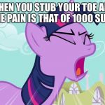 Twilight Sparkle Yelling | WHEN YOU STUB YOUR TOE AND THE PAIN IS THAT OF 1000 SUNS | image tagged in twilight sparkle yelling | made w/ Imgflip meme maker