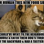 FOOD SUCKS | WOW HUMAN THIS NEW FOOD SUCKS; I COULD'VE WENT TO THE NEIGHBOR'S HOUSE & EATEN THEIR DOG'S TURDS FROM THE BACKYARD & HAD A TASTIER MEAL | image tagged in food sucks | made w/ Imgflip meme maker