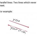 Parallel Lines That Never Meet