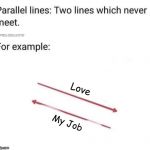 Parallel Lines That Will Never Meet Love My Job | Love; My Job | image tagged in parallel lines that will never meet love my job | made w/ Imgflip meme maker