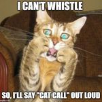 Scared cat | I CAN'T WHISTLE; SO, I'LL SAY "CAT CALL" OUT LOUD | image tagged in scared cat | made w/ Imgflip meme maker