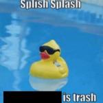 Splish Splash meme