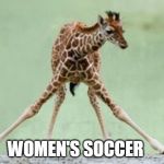 giraffe | WOMEN'S SOCCER | image tagged in giraffe | made w/ Imgflip meme maker