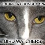 unsettled tom II | ME: EATING A CRUNCHY SNACK; BIRD WATCHERS: | image tagged in unsettled tom ii,unsettled tom,birds,snacks | made w/ Imgflip meme maker