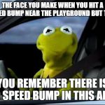 Kermit Car | THE FACE YOU MAKE WHEN YOU HIT A SPEED BUMP NEAR THE PLAYGROUND BUT THEN; YOU REMEMBER THERE IS NO SPEED BUMP IN THIS AREA | image tagged in kermit car,random,playground | made w/ Imgflip meme maker