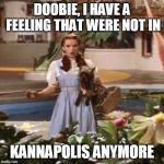 dorothy | DOOBIE, I HAVE A FEELING THAT WERE NOT IN; KANNAPOLIS ANYMORE | image tagged in dorothy | made w/ Imgflip meme maker