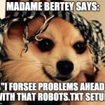 Bertey | MADAME BERTEY SAYS:; "I FORSEE PROBLEMS AHEAD WITH THAT ROBOTS.TXT SETUP" | image tagged in bertey | made w/ Imgflip meme maker