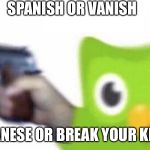 duolingo gun Meme Generator - Imgflip