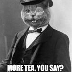 Spiffing Cat | MORE TEA, YOU SAY? SPIFFING! | image tagged in spiffing cat | made w/ Imgflip meme maker