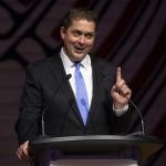 Scheer