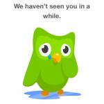 Sad Duolingo Bird