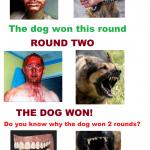 humans vs dogs