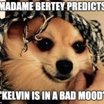 Bertey | MADAME BERTEY PREDICTS; "KELVIN IS IN A BAD MOOD" | image tagged in bertey | made w/ Imgflip meme maker