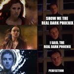 Perfection | SHOW ME THE REAL DARK PHOENIX; I SAID, THE REAL DARK PHOENIX; PERFECTION | image tagged in perfection | made w/ Imgflip meme maker