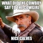 Sam Elliott Cowboy | WHAT DID THE COWBOY SAY TO THE COWGIRL; NICE CALVES | image tagged in sam elliott cowboy | made w/ Imgflip meme maker