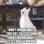 cat singing into a microphone | DON'T KNOW WHAT IT IS I DID SO WRONG; DON'T KNOW WHAT YOU GOT TILL IT'S GONE | image tagged in cat singing into a microphone | made w/ Imgflip meme maker