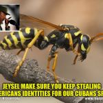 Wasp | JEYSEL MAKE SURE YOU KEEP STEALING AMERICANS IDENTITIES FOR OUR CUBANS SPIES! | image tagged in wasp | made w/ Imgflip meme maker