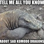 Sad Komodo Dragon is sad | TELL ME ALL YOU KNOW; ABOUT SAD KOMODO DRAGONS | image tagged in sad komodo dragon,komodo dragon | made w/ Imgflip meme maker