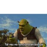 Tal vez no funciona en burros meme