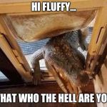 Croc Godzilla door cat door dog door | HI FLUFFY... WHAT WHO THE HELL ARE YOU! | image tagged in croc godzilla door cat door dog door | made w/ Imgflip meme maker