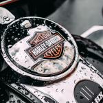 harley davidson motorcycle