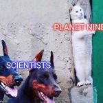 hide cat dogs | PLANET NINE; SCIENTISTS | image tagged in hide cat dogs | made w/ Imgflip meme maker