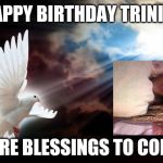 Sunbeam Dove Bird | HAPPY BIRTHDAY TRINITY; MORE BLESSINGS TO COME | image tagged in sunbeam dove bird | made w/ Imgflip meme maker