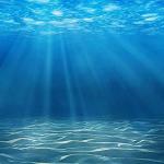 Under the sea