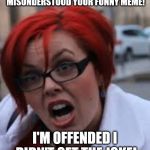 SJW Triggered | HOW DARE YOU THINK I MISUNDERSTOOD YOUR FUNNY MEME! I'M OFFENDED I DIDN'T GET THE JOKE! | image tagged in sjw triggered | made w/ Imgflip meme maker