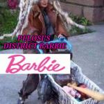 Pelosi's District Barbie meme