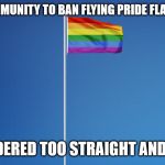 Proper LGBTQ flag etiquette | LGBTQ COMMUNITY TO BAN FLYING PRIDE FLAG ON POLES; CONSIDERED TOO STRAIGHT AND WHITE | image tagged in lgbtq flag,memes,flag | made w/ Imgflip meme maker