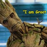 One of my favorite quotes. :) | "I am Groot."-Groot | image tagged in groot,guardians of the galaxy,guardians of the galaxy vol 2,inspirational quote,memes | made w/ Imgflip meme maker