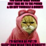 I'D RATHER DIE | YOU KNOW WHAT HUMAN JUST TAKE ME TO THE POUND & GO BUY YOURSELF A BUNNY! I'D RATHER BE PUT TO SLEEP THAN WEAR THIS ATROCITY! | image tagged in i'd rather die | made w/ Imgflip meme maker