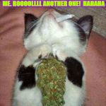 STONER KITTEN | DON'T BOGART THAT JOINT MY FRIEND. PASS IT OVER TO ME. ROOOOLLLL ANOTHER ONE!  HAHAHA; HEY MAN I HAVE A COTTON MOUTH. GO TO THE PEPSI & GET ME A BOTTLE OF STORE. | image tagged in stoner kitten | made w/ Imgflip meme maker