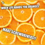 Oranges | WHEN LIFE HANDS YOU ORANGES; MAKE SCREWDRIVERS!! | image tagged in oranges | made w/ Imgflip meme maker