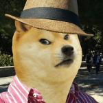 manuel doge angry meme