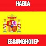 Habla Esbunghole? | HABLA; ESBUNGHOLE? | image tagged in spain flag,bunghole | made w/ Imgflip meme maker