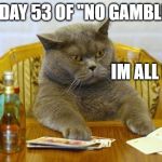 Gambling Sad Cat | ME DAY 53 OF "NO GAMBLING; IM ALL IN | image tagged in gambling sad cat | made w/ Imgflip meme maker