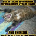 AND THEN | AND THEN THE HUMAN TOOK A BITE OUT OF THE BROWNIE WITH THE ICING I MIXED MY POOP IN WITH; AND THEN SHE PUKED ALL OVER THE DOG! | image tagged in and then | made w/ Imgflip meme maker