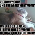 I DON'T ALWAYS | I DON'T ALWAYS RUN AROUND THE APARTMENT VOMITING; BUT WHEN I DO I'LL MAKE SURE I LEAVE LINES OF VOMIT UP AND DOWN THE ENTIRE HALLWAY! | image tagged in i don't always | made w/ Imgflip meme maker