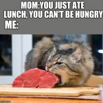 Hungry cat | MOM:YOU JUST ATE LUNCH, YOU CAN'T BE HUNGRY; ME: | image tagged in hungry cat | made w/ Imgflip meme maker