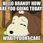 Hamtaro-dog | HELLO BRANDY HOW ARE YOU GOING TODAY? WHAIT I DONT CARE | image tagged in hamtaro-dog | made w/ Imgflip meme maker
